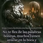 Oliver Cano - @olivercano9438 - Instagram