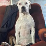 oliver carlson - @olivercalson420 - Instagram