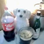 Oliver Carlson - Facebook