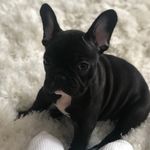 Oliver Elliot Carlson - @oliver.carlson66 - Instagram