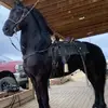 Oliver Carrillo - @oliver.carrillo18 - TikTok
