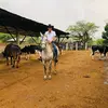 Oliver Castro - @olivercastro80 - TikTok
