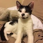Oliver Chaney - @og_olllliiivveerr - Instagram