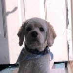 Rudis Oliver Chaney - @rudyontherun - Instagram