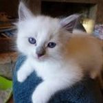 Oliver Channing - @oliverchanning123 - Instagram