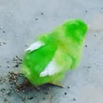 oliver - @_oliver_chick - Instagram