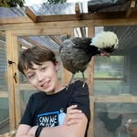 Oliver - @oliverchickenwhisperer - Instagram