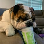 @oliverchickenspamm - Instagram