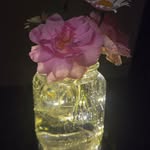 Dawn Chisholm Oliver - @dawnchisholmoliver - Instagram