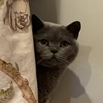 Ollie - @oliver_cotterill - Instagram