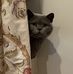 Oliver Cotterill - Facebook