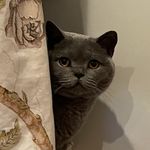 Ollie - @oliver_cotterill - Instagram