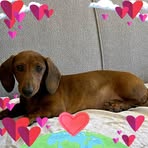 Judy Oliver Craig - Facebook