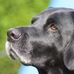 Oliver Cramer - Facebook