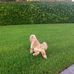 Oliver Cramer - Facebook