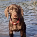 Oliver Crowe - @crowe_o - Instagram