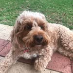 Oliver Cullen - @olivercullen32 - Instagram