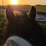 Oliver Cullen - @olivercullen50 - Instagram