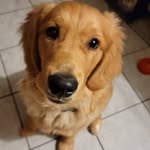 Gustav Oliver Dailey - @gustavoliverdailey - Instagram