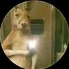 oliver - @oliverdanielolive7 - TikTok