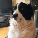 Oliver Day - @oliverday340 - Instagram