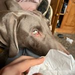 Oliver - @oliver_dickson04 - Instagram