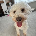 Oliver Dobson - @oliverd9543 - Instagram