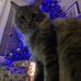 Oliver Dreger - Facebook