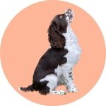 Oliver Lane Dudley 🍑 - @oliverdthespringer - Instagram