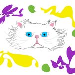 Willow Persian | Oliver Dudley - @willow.oliver.ec - Instagram