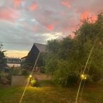 Oliver Duff - @thegingerduff - Instagram
