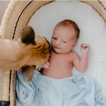 Oliver & Everett - @ollieandevvy - Instagram