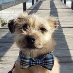 Oliver Everett - @heylookitsoliver - Instagram