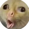 oliverewing_1 - @oliverewing_1 - TikTok