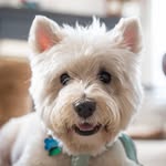 Oliver - @oliver.faison - Instagram