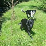 @oliver.farley1 - Instagram