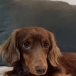 Oliver Farley - @farleyoliver - Instagram