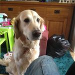 Oliver - @oliver_farmer_2004 - Instagram