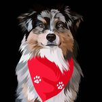 Flash, Finn, Wally, & Oliver - @flash_finn_wally_oliver - Instagram