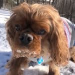 Oliver B. Floyd - @oliverlivinlife - Instagram