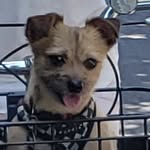 Oliver Floyd - @olivertheunpredictable - Instagram