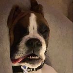 Oliver Foley - @oliverfoley338 - Instagram