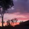 Oliver Foley - @oliver_foley101 - TikTok