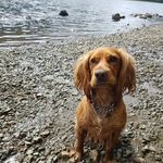 Oliver Foreman - @oliver.foreman.7 - Instagram