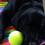@oliverforeman - Instagram