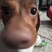 Oliver Fox - Facebook
