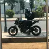 Oliverfox - @american_ambassador - TikTok