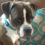 oliver friedman - @oliver_friedman - Instagram