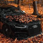 Oliver Friedrich - Facebook