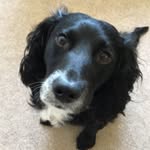 Oliver fuller - @oliver.18283949493848100 - Instagram